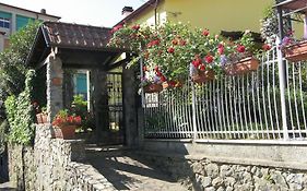 L'Olivo B&B